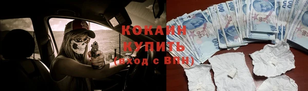 трава Магас