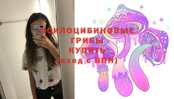 СК Белокуриха