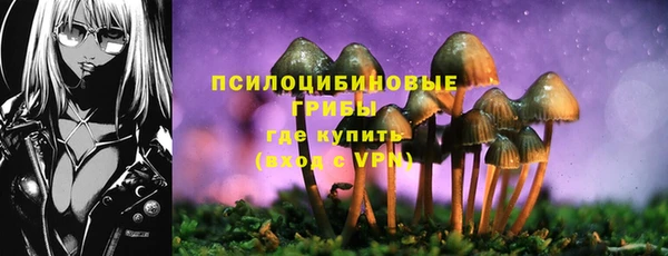 СК Белокуриха