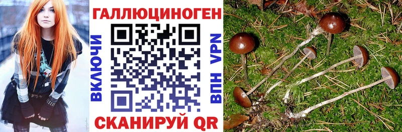 Псилоцибиновые грибы ЛСД  Вилючинск 